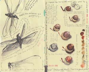 DiaryOfAnEdwardianLady_01