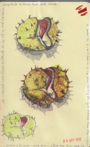 DiaryOfAnEdwardianLady_02