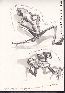 Pen and Ink studies of dried frogs