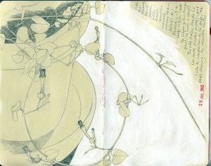 MeticulousPlantStudy