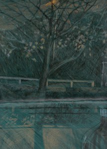 The view from my room, at night.