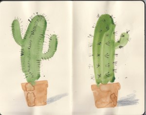 Cacti-Sketchbook_01