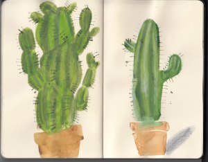 Cacti-Sketchbook_02