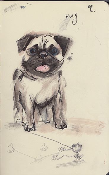Pug-SB-WEB
