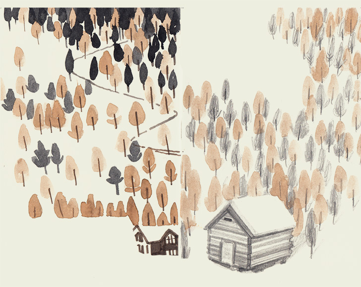 TreePractice-WEB